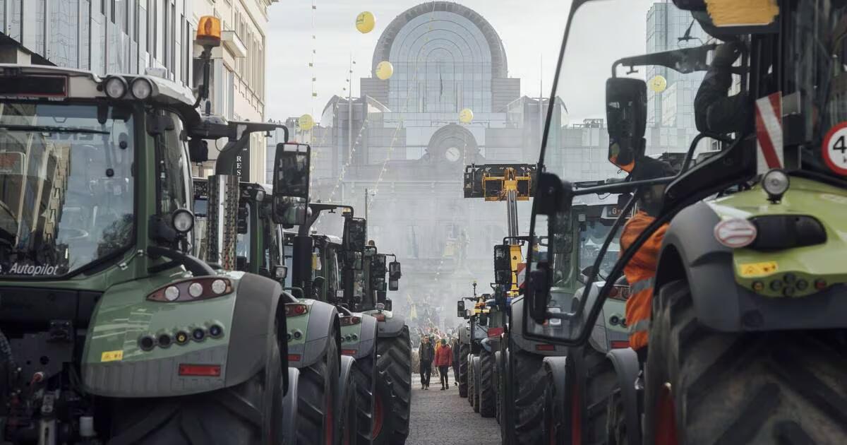 Франция уступила фермерам, когда в Ирландии начались протесты "солидарности"