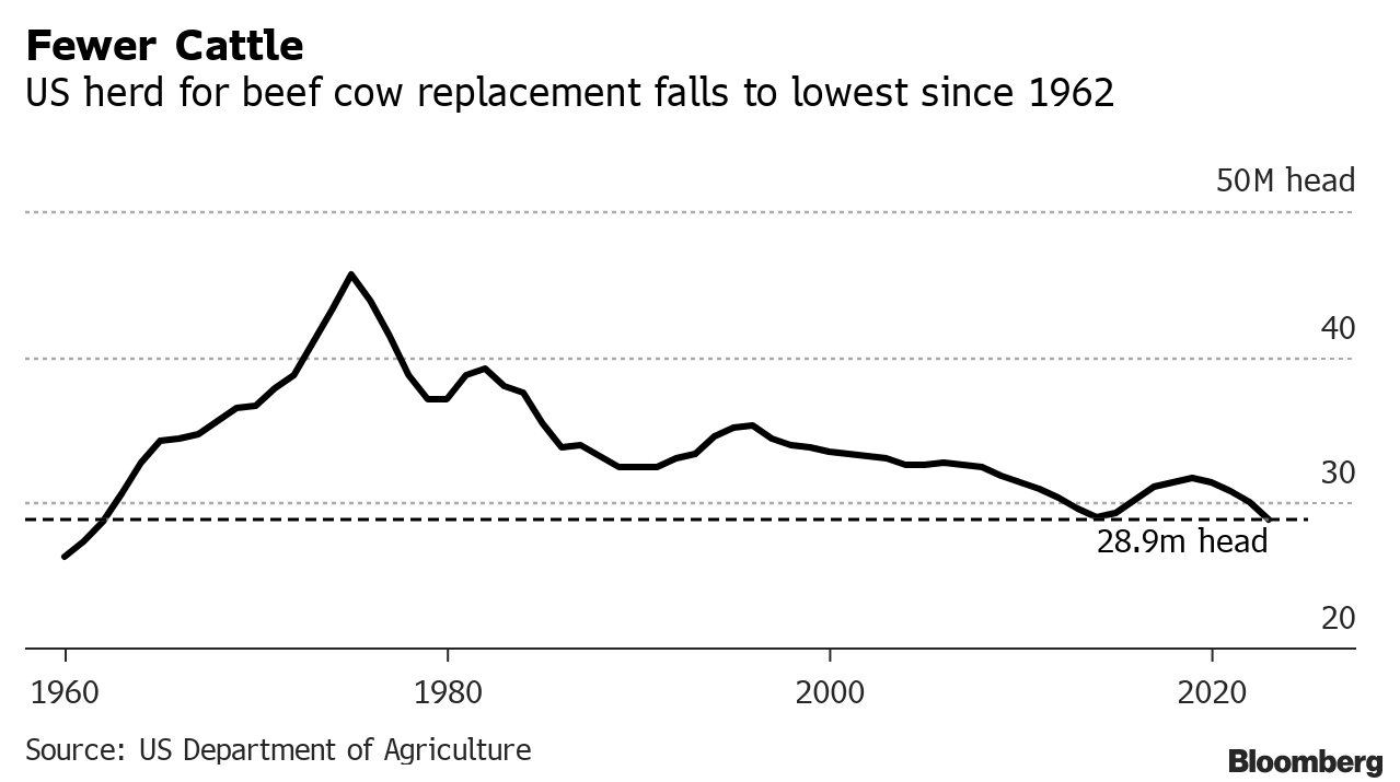 US Beef Prices Hit Record High As Nation's Cattle Herd Expected To