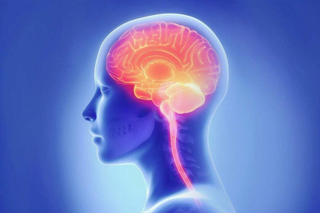 How A Bad Night’s Sleep Affects The Brain’s Cleaning System | Nemos ...