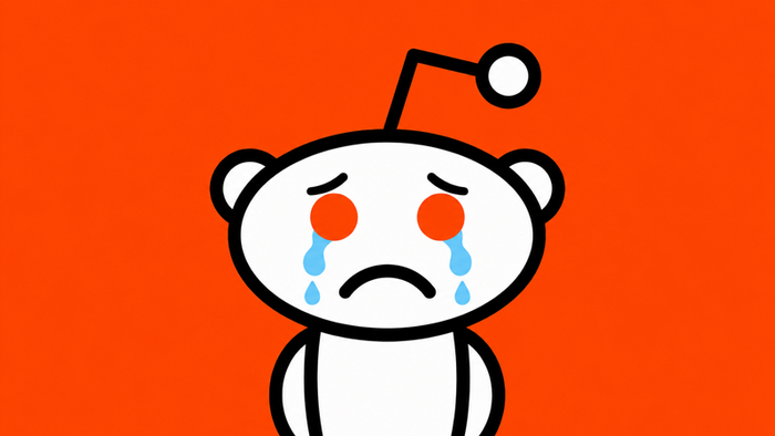 Reddit Crashes As Weak User Growth Spooks Wall Street